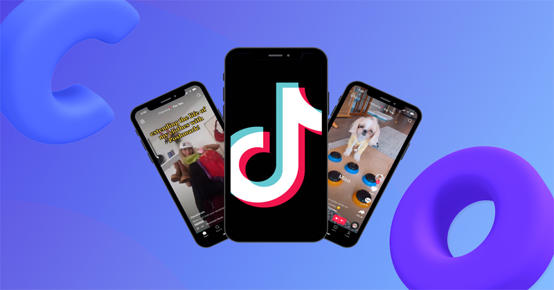 TikTok, la red social más importante del mundo